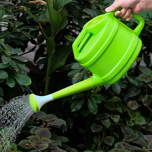 Watering Can 2