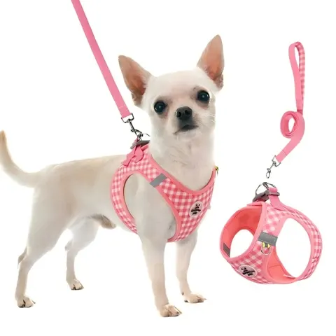 Hundegeschirr-Weste