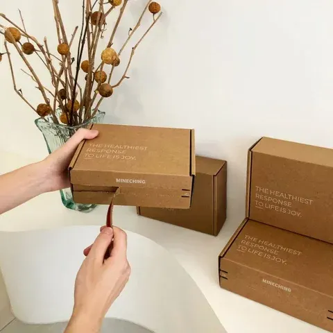 Large Paper Mailing Box with Tear Strip