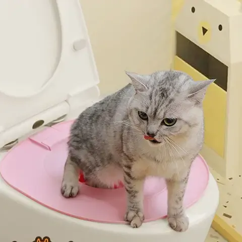 Katzentoiletten-Trainingsset