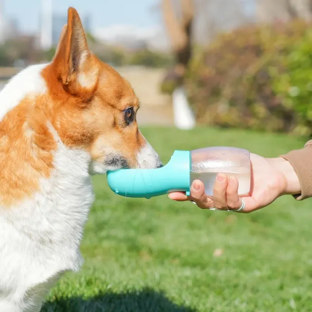 Portable Pet Water Bottle 300 ml 4
