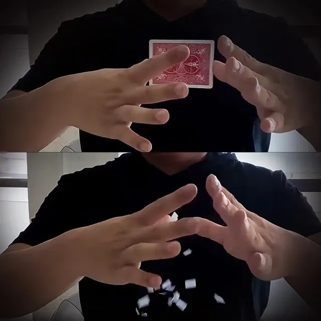 Card Vanish Magic Trick 4