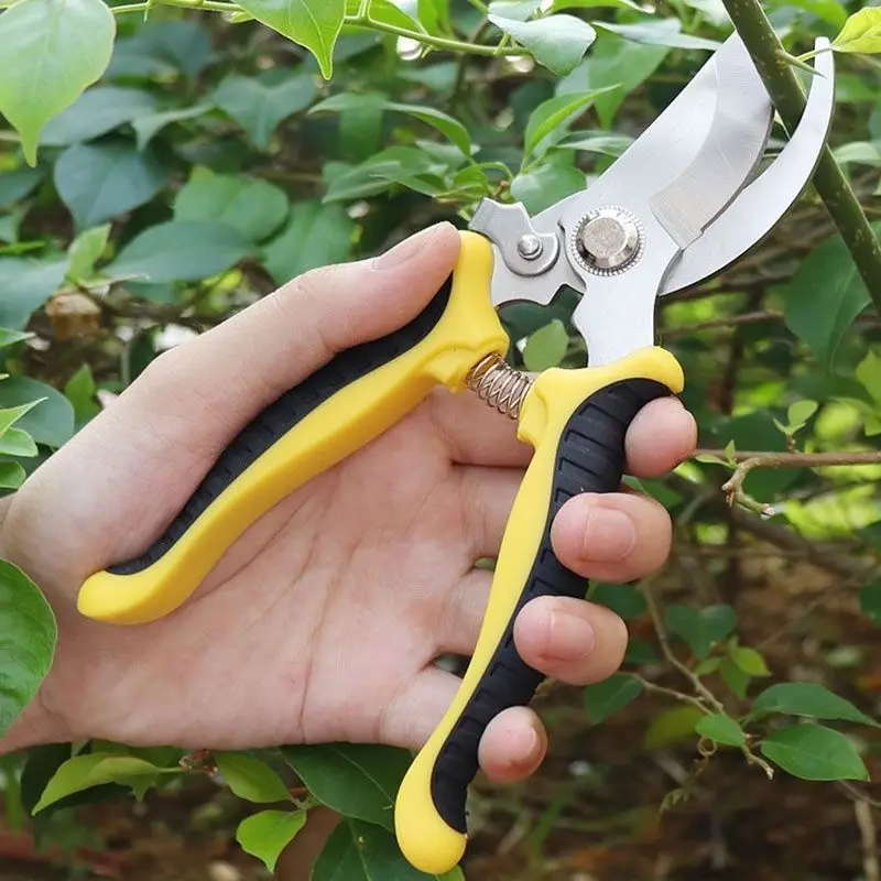 Gartenschere Vogelschnabel-Form Astschere Arbeitssparende Beschneidung Edelstahl Multifunktionale Obstschere 3