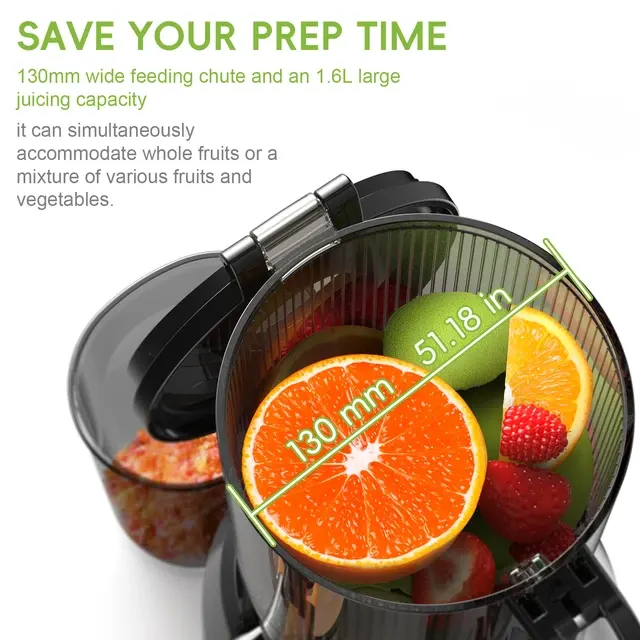 Cold Press Juicer 2
