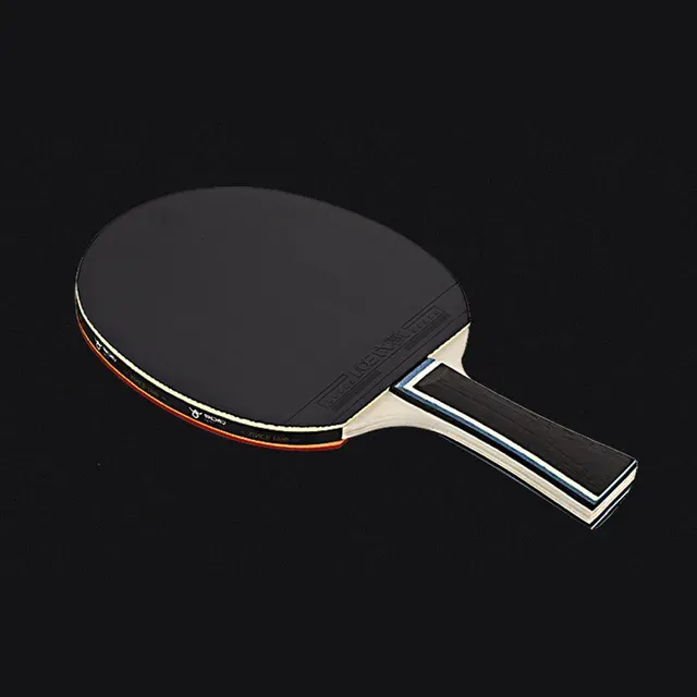 Table Tennis Paddle 2