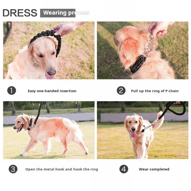 Braided Dog Leash 4