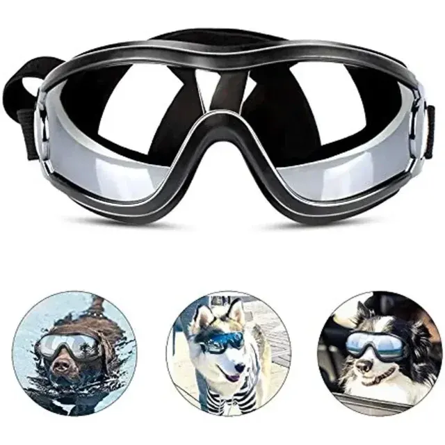 Dog Snow Goggles 2