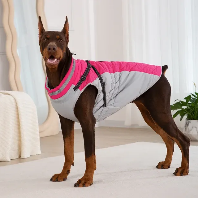 Winterjacke für Hunde 4