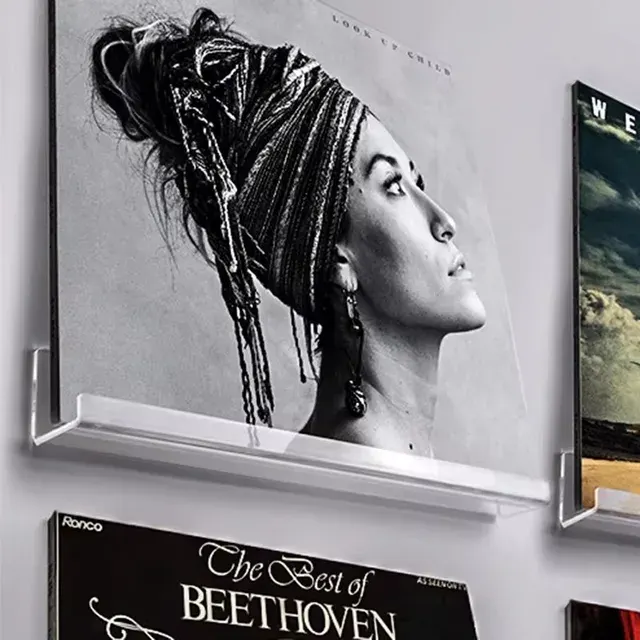 Acrylic Record Wall Shelf 4