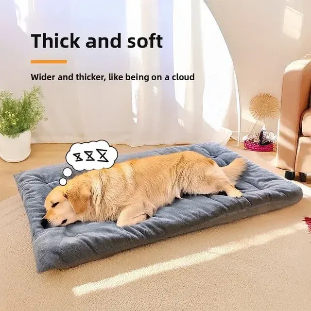 Dog Bed 2