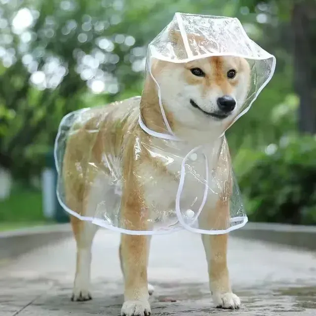 Dog Raincoat 4