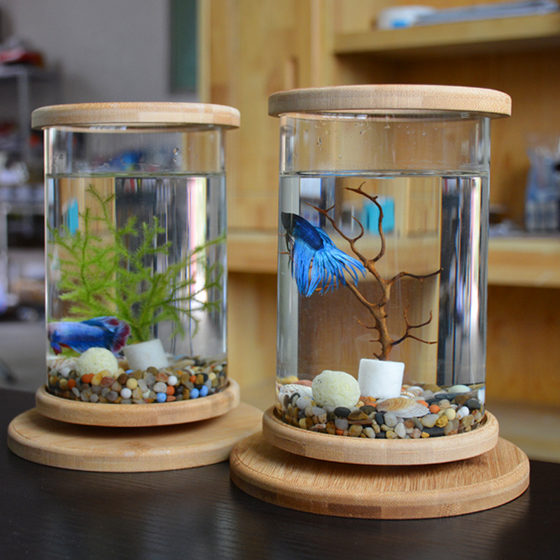 Small Office Glass Aquarium Bamboo Base Mini Fish