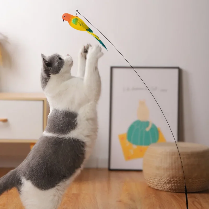 Bird Feather Cat Teaser with Bell 3