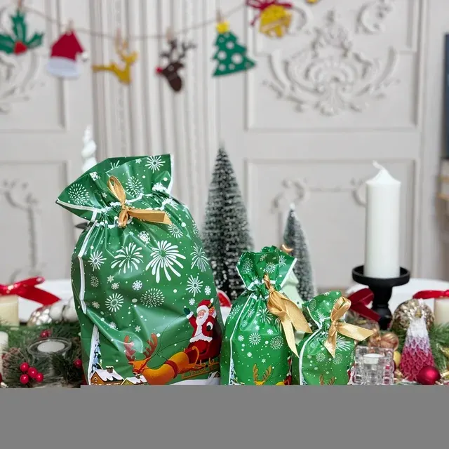 Plastic Gift Bag with Drawstring 2