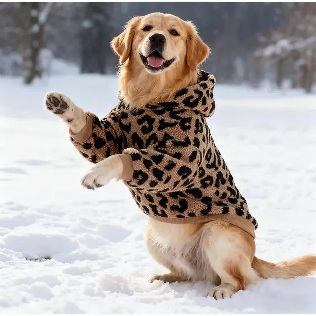 dog sweater 4