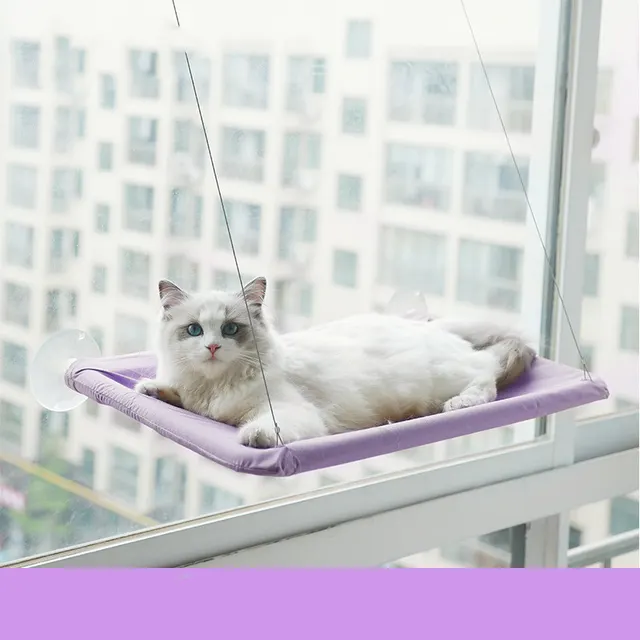 Cat Window Hammock 1