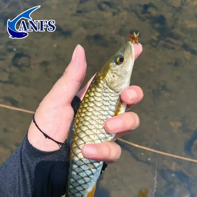 Fly Fishing Set 4