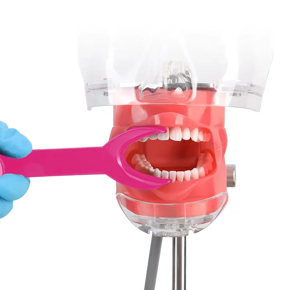 Double-Head Cheek and Lip Retractor 4