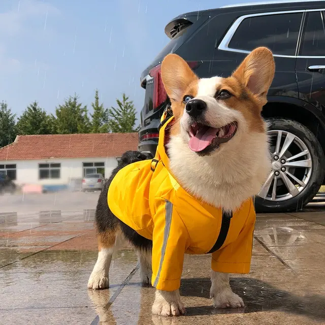 Hunde-Regenmantel 2