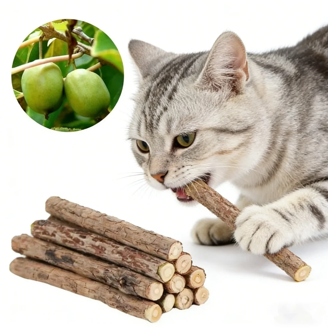 20 Silvervine Chew Sticks for Kittens