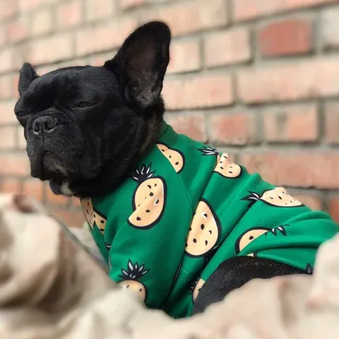 Winterwarme Haustierkleidung für Kleine Hunde Französische Bulldogge Yorkshire-Sweatshirt