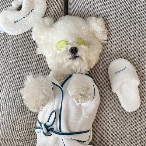 Pet Bathrobe