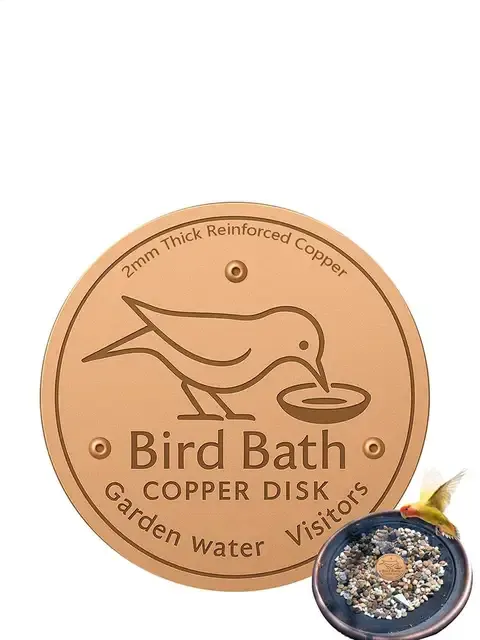 Copper Cleaning Disc for Bird Baths 2