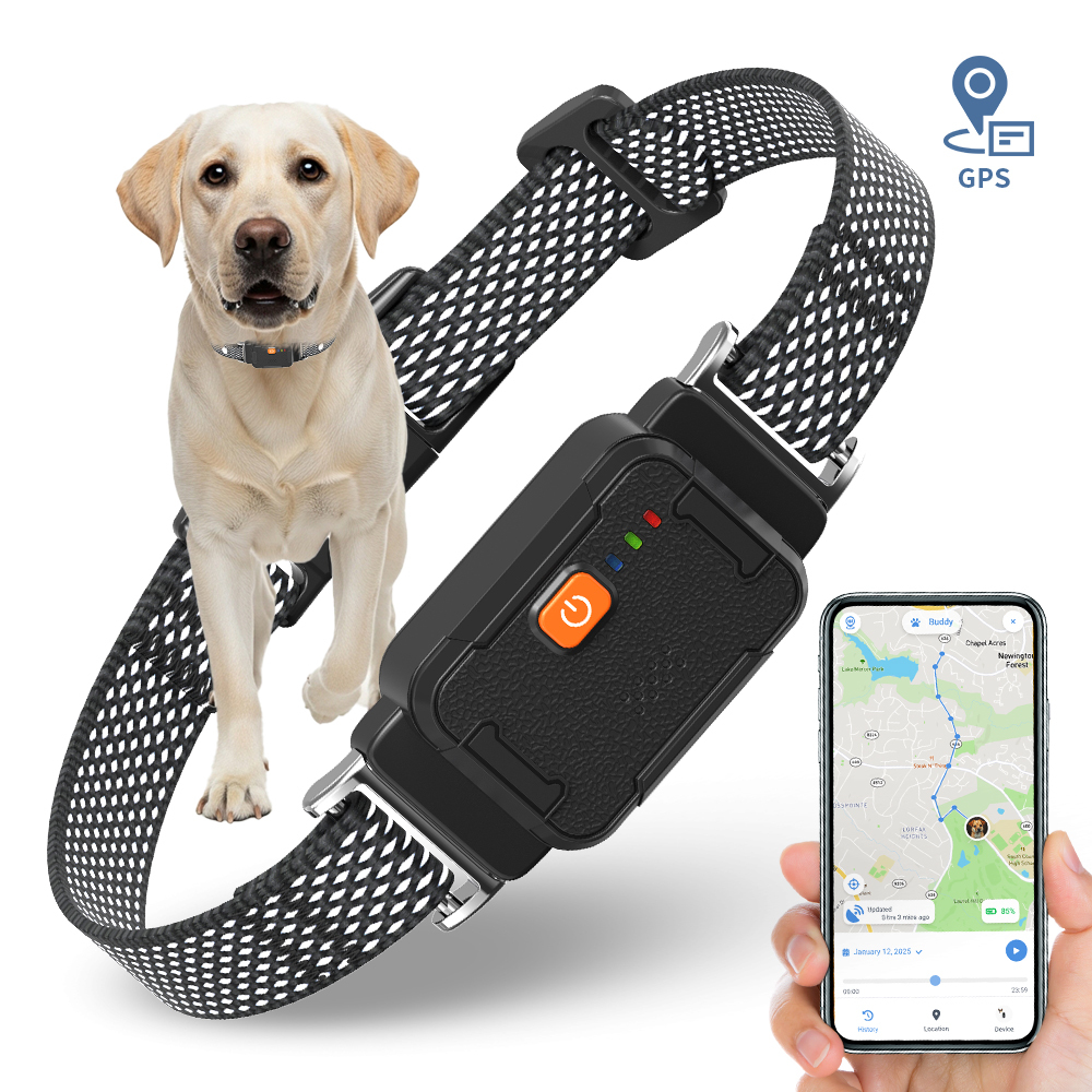4G-WLAN-GPS-Haustierhalsband mit Gesundheitsmonitor