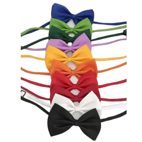 Haustier-Halsband