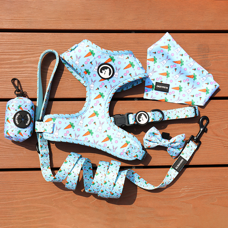 Reversible Dog Harness Set with Bandana
