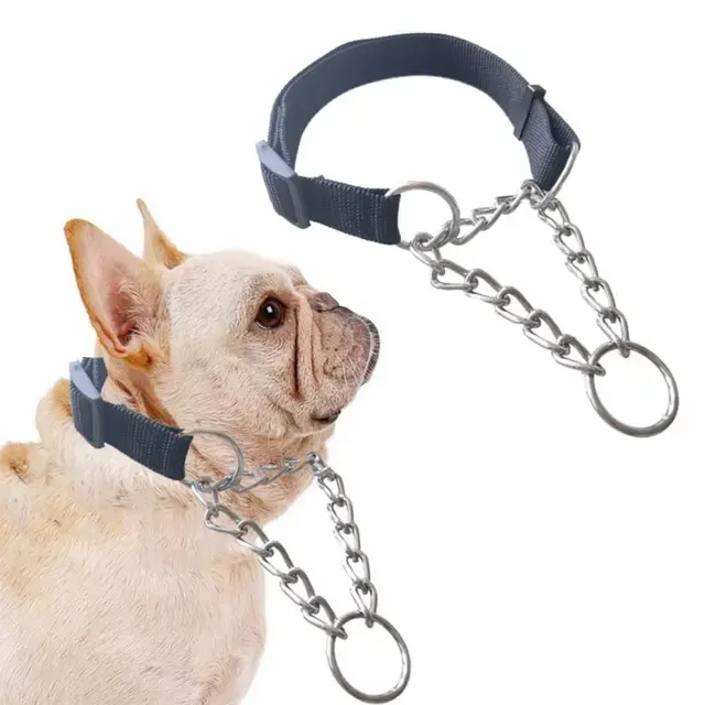 Nylon Dog Collar 4