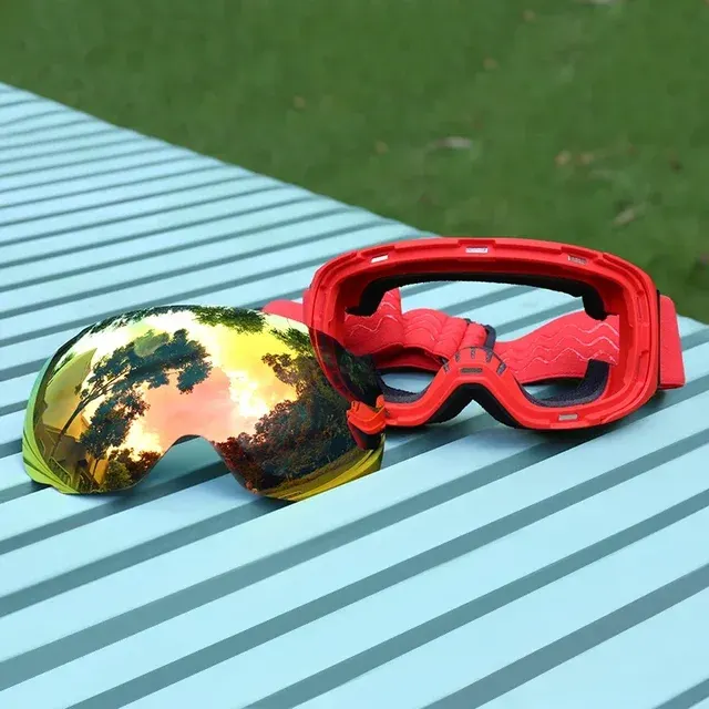Ski Goggles 2