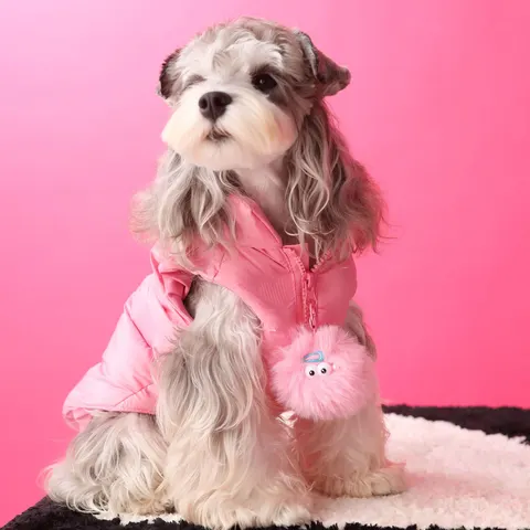Down Vest
