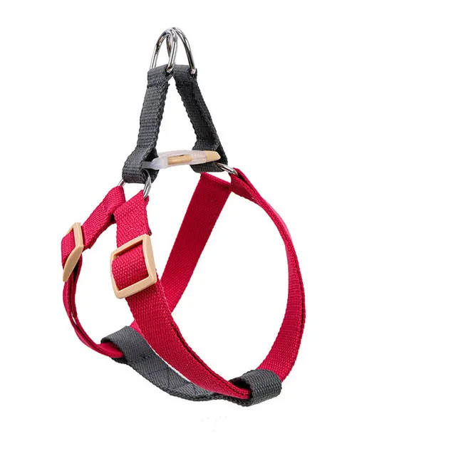 Dog Leash 1