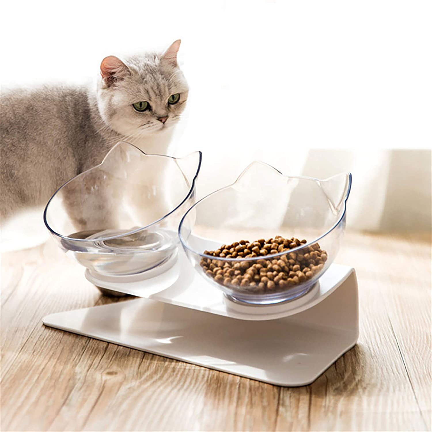Erhöhter Katzennapf