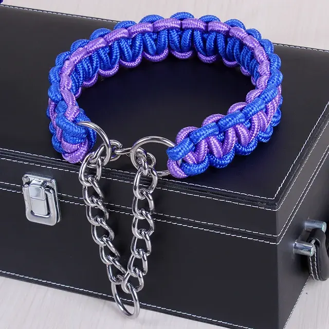 Dog Training Collar 3
