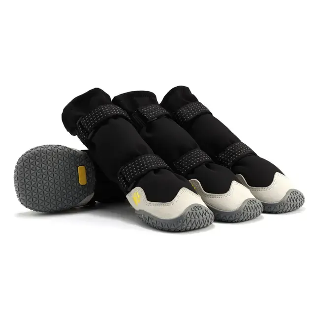 Dog Shoes 1