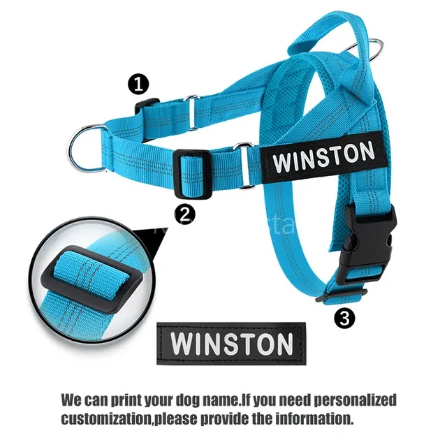 Dog Harness with Leash 2