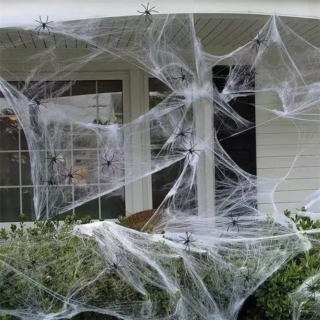 Halloween Spider Web Decoration 2