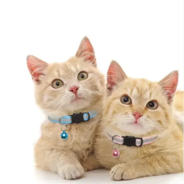 Reflective Breakaway Cat Collar with Bell 3