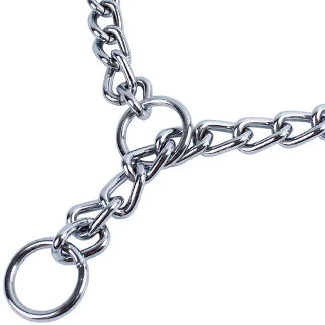 Stainless Steel Dog Collar 4