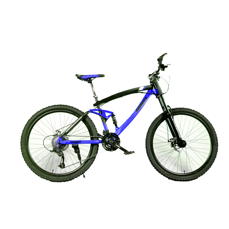 Downhill-Mountainbike 26 Zoll günstig 3