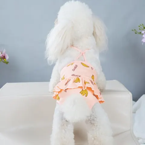 Female Dog Hygiene Pants
