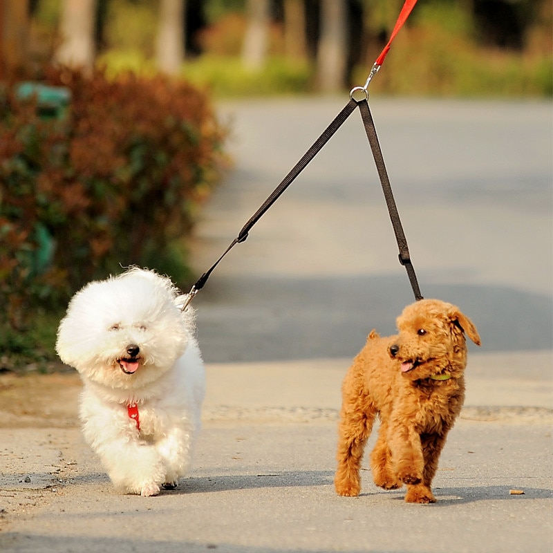Double Dog Leash Coupler for Two Dogs