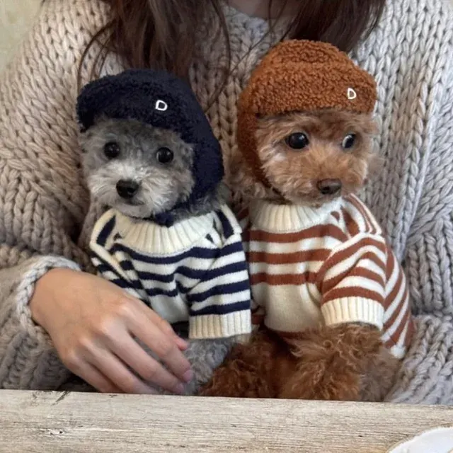 Hunde- und Katzenpullover 2