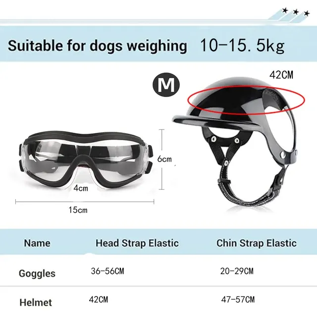 Hunde-Sonnenbrille 2