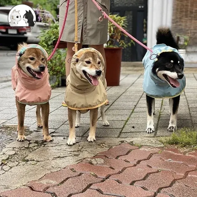 Dog Rain Coat 3