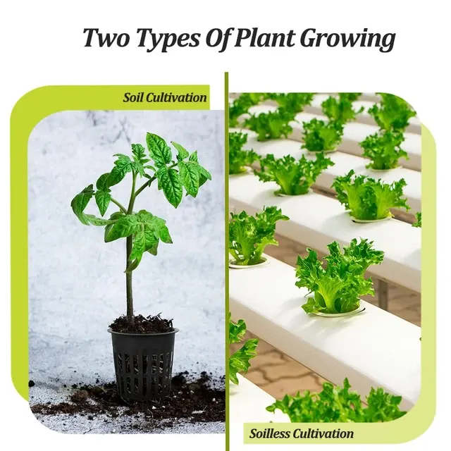 Mesh Net Seedling Pot 4