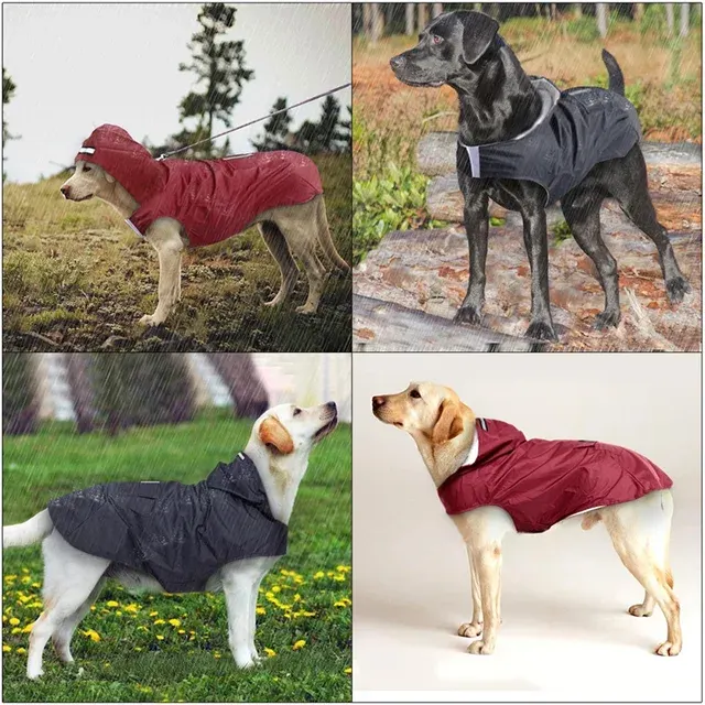 Dog Raincoat 3
