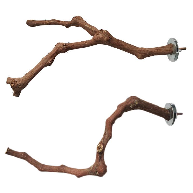 Bird Standing Stick Wild Grape Wood Grinding Claw